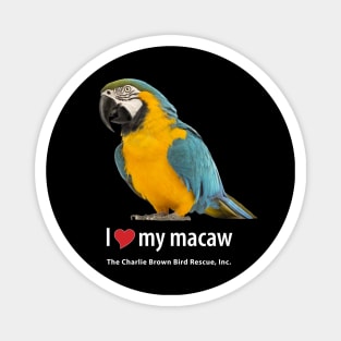 CB Macaw 3 Magnet